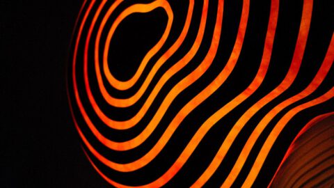 Fingerprint Processing